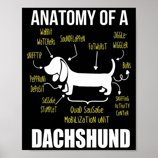 Dog Gift | Anatomie van Dachshund Poster (Voorkant)