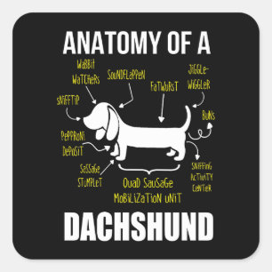 Dog Gift   Anatomie van Dachshund Vierkante Sticker