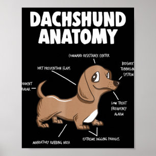 Dog Gift   Anatomy Dachshund Funny Weiner Poster