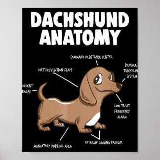 Dog Gift | Anatomy Dachshund Funny Weiner Poster