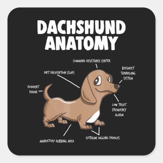 Dog Gift | Anatomy Dachshund Funny Weiner Vierkante Sticker (Voorkant)