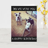 *DOG GONE RIGHT* WE WENSEN JE EEN FIJNE VERJAARDAG KAART (Gele Bloem)