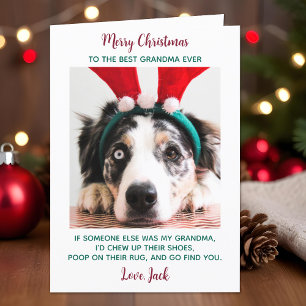Dog Grandma Funny Custom Pet Photo Merry Kerstry Feestdagen Kaart