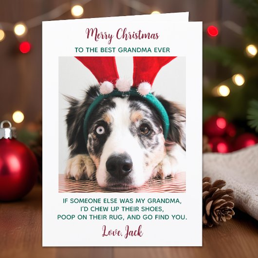 Dog Grandma Funny Custom Pet Photo Merry Kerstry Feestdagen Kaart