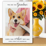 Dog Grandma Personalized Pet Photo Fotoplaat<br><div class="desc">Happy Birthday de beste hond oma ooit! Geef oma een schattige en grappige persoonlijke foto van haar beste kleinkind, de hond! "Je bent de grootmoeder elke hond die ze wilde " personaliseren met je speciale bericht, de naam van de hond en je favoriete foto. Deze hond-oma plaque is ook perfect...</div>
