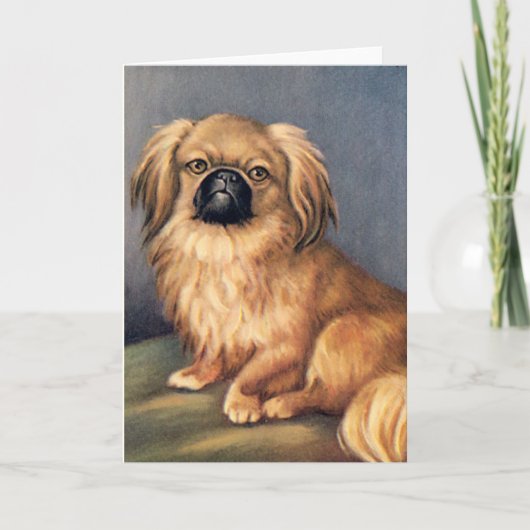 Dog greetings card kaart (Voorkant)