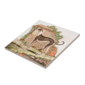 Dog - Greyhound Tegeltje (Zijkant)