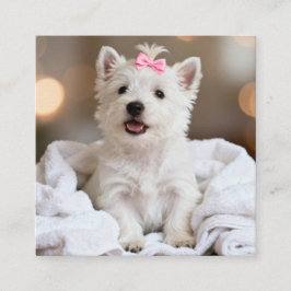 Dog Groomer Business Card Vierkante Visitekaartje