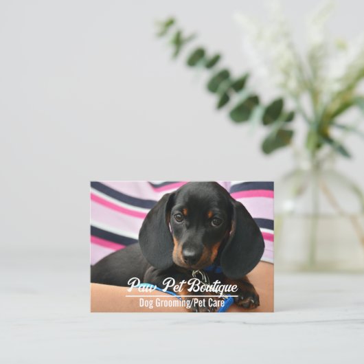 Dog Groomer Pet Care Puppy Walker Visitekaartje (Staand voorkant)