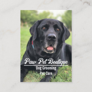 Dog Groomer Pet Care Puppy Walker Visitekaartje