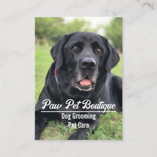 Dog Groomer Pet Care Puppy Walker Visitekaartje (Voorkant)