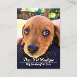 Dog Groomer Pet Care Puppy Walker Visitekaartje