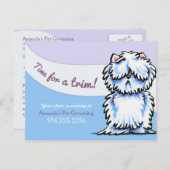 Dog Groomer Shabby Westie Appointment Reminder Briefkaart (Voorkant / Achterkant)