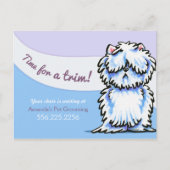 Dog Groomer Shabby Westie Appointment Reminder Briefkaart (Voorkant)