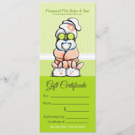 Dog Groomer Spa Shih Tzu Cucumber Gift Certificate