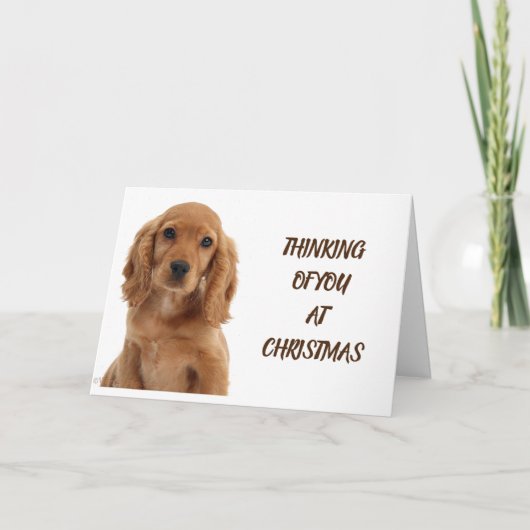 DOG GROOMER, VETERINARIAN EN DOG WALKER KAART (Voorkant)