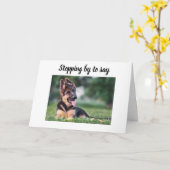 DOG GROOMER, VETERINARIAN EN DOG WALKER KAART (Gele Bloem)