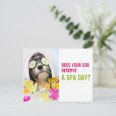 Dog Grooming Briefkaart-Spa Briefkaart (Staand voorkant)