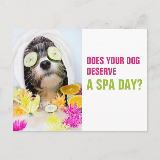 Dog Grooming Briefkaart-Spa Briefkaart (Voorkant)