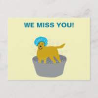 Dog Grooming Business Dog Groomers Promotie