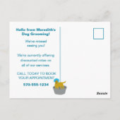 Dog Grooming Business Dog Groomers Promotie Briefkaart (Achterkant)