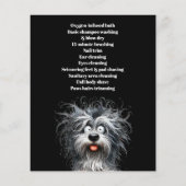 Dog grooming business personalized flyer (Achterkant)