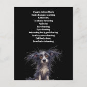 Dog grooming business personalized flyer (Achterkant)