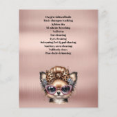 Dog grooming business personalized flyer (Achterkant)