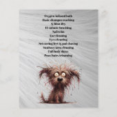 Dog grooming business personalized flyer (Achterkant)