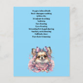 Dog grooming business personalized flyer (Achterkant)