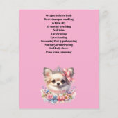 Dog grooming business personalized flyer (Achterkant)