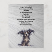 Dog grooming business personalized flyer (Achterkant)