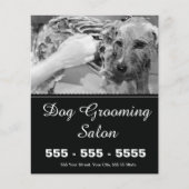 Dog Grooming Flyer -  (Voorkant)