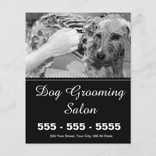 Dog Grooming Flyer -  (Voorkant)