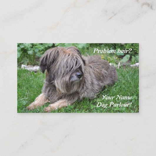 Dog grooming hiry sheepdog visitekaartje (Voorkant)