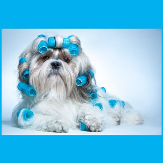 Dog Grooming Legpuzzel