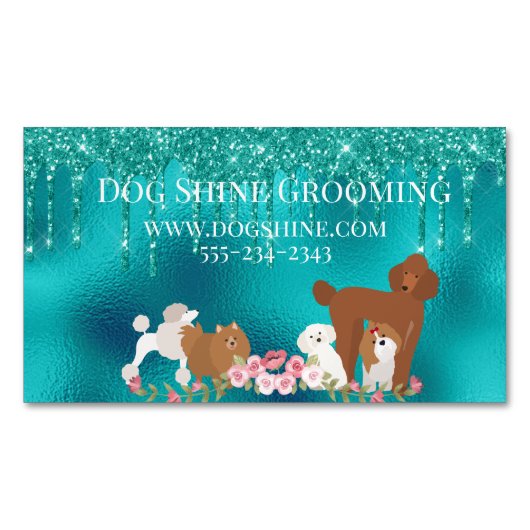 Dog Grooming Pet Sitting Glitter Robin's oegblauw Magnetisch Visitekaartje (Voorkant)