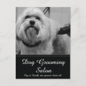 Dog Grooming Post Kaart - (Voorkant)