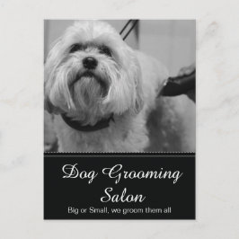 Dog Grooming Post Kaart - 