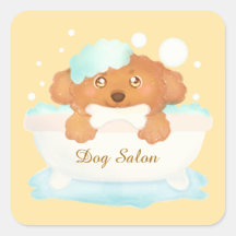 Dog Grooming Salon