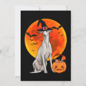 Dog Halloween Greyhound Jack O Lantern Pumpkin Feestdagenkaart (Voorkant)