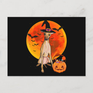 dog halloween italian greyhound jack o lantern pum feestdagenkaart