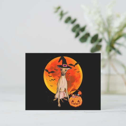 dog halloween italian greyhound jack o lantern pum feestdagenkaart (Staand voorkant)