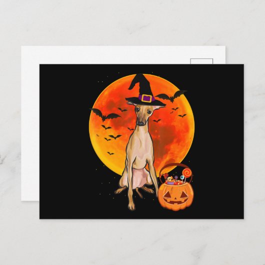 dog halloween italian greyhound jack o lantern pum feestdagenkaart (Voorkant / Achterkant)