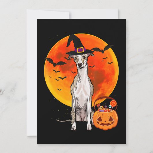 Dog Halloween Whippet Jack O Lantern Pumpkin Feestdagenkaart (Voorkant)