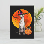 Dog Halloween Whippet Jack O Lantern Pumpkin Feestdagenkaart (Staand voorkant)