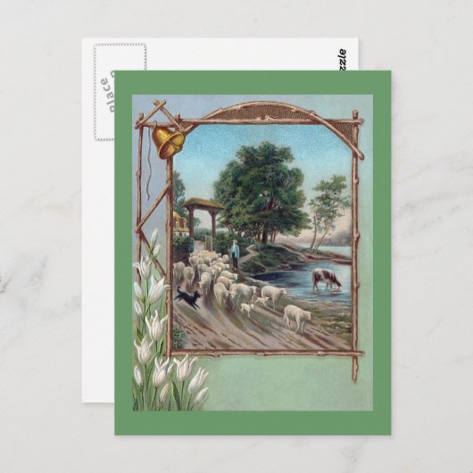 Dog Herding Sheep Down Path Briefkaart (Voorkant / Achterkant)