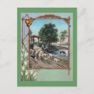 Dog Herding Sheep Down Path Briefkaart