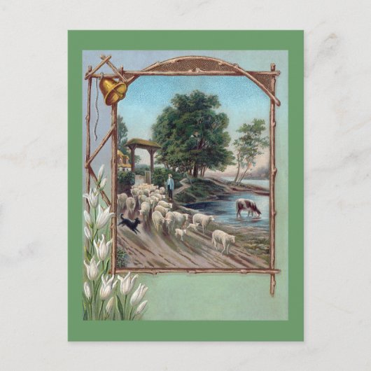 Dog Herding Sheep Down Path Briefkaart (Voorkant)