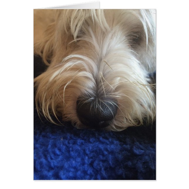 Dog humor-kaart (Voorkant)